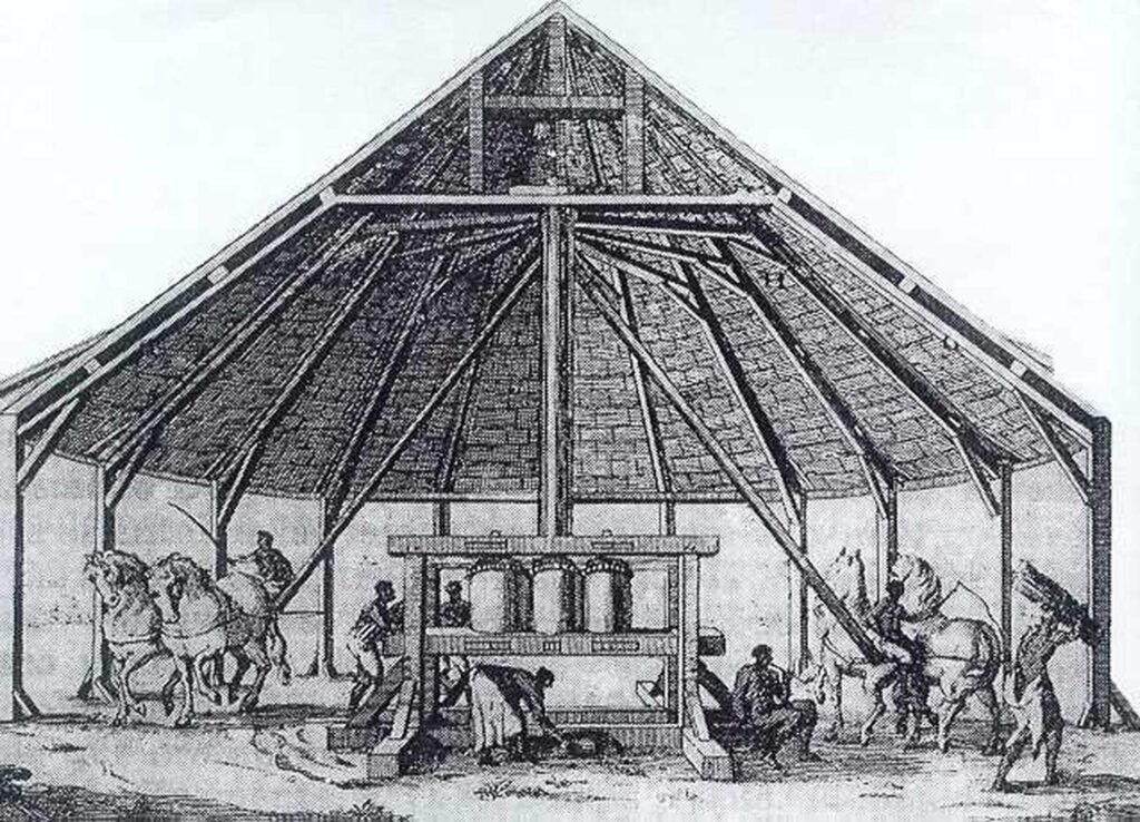 Vell trapig mogut per animals dels dies colonials