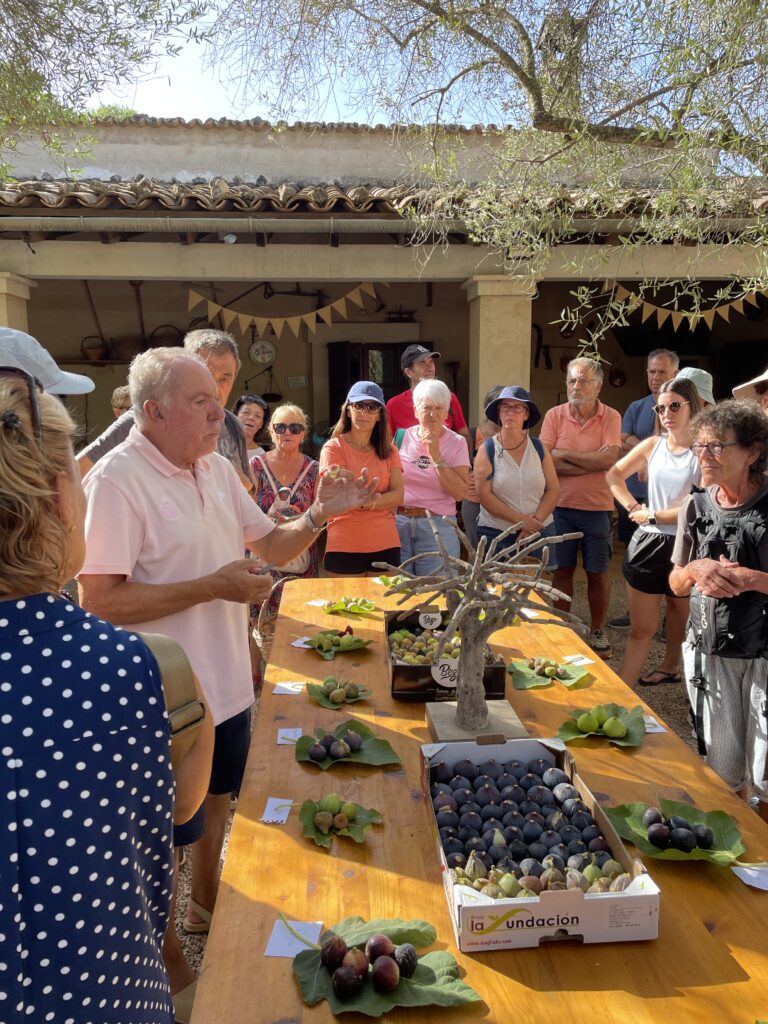 Un grup de gabellines i gabellins visita la finca de son Mut