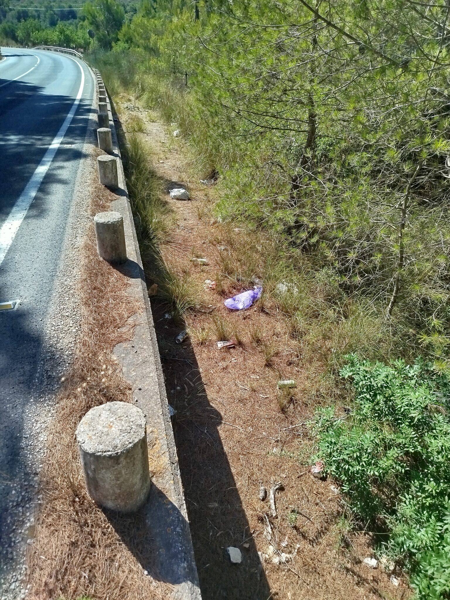 Brutícia i incivisme, altra vegada!